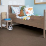 new-forest-bark-_2011281898