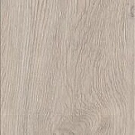 white_oak