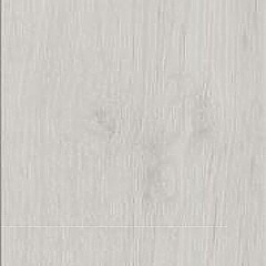 arctic_maple