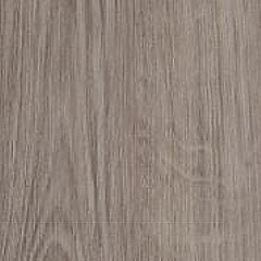 winter_oak