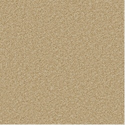apollo-plus-caramel_1964419152