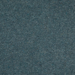 bluebell_1001480087