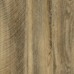 cajou-nut-1104
