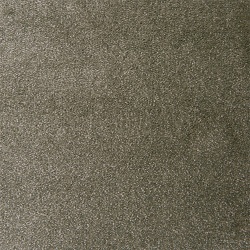 camden-pebble