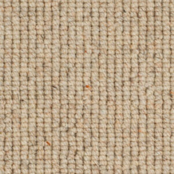 causeway-carpets-nature-earth-seashell