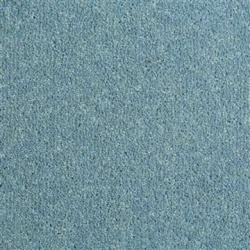duck_egg_blue_164288662