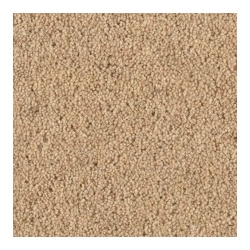 dune_869675244