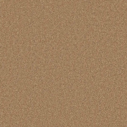 elm