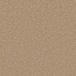 gazelle_983434284