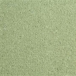 lawn_green_245089195