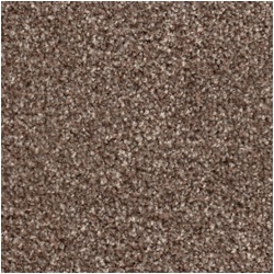 mahogany_2000330225