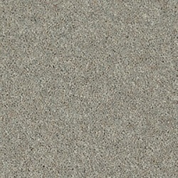 mountain_larch