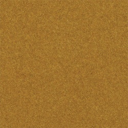 mustard-seed