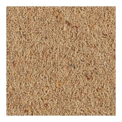oatmeal_1148671509