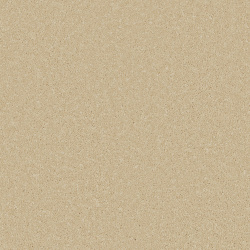 palomino-gold