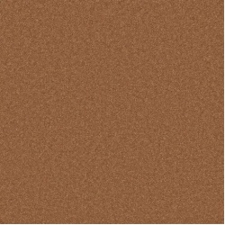 pembroke_red-squirrel_overhead