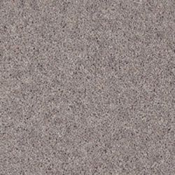 peregrine