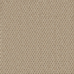 primo-textures_elk_1606216197
