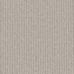 primo-textures_porcini_699547491