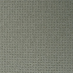 putty07_1241079169