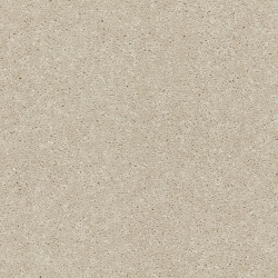 riva_aniseed_overhead