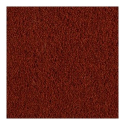 russet_754397689