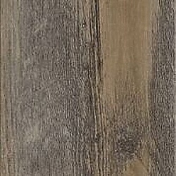 sun_bleached_spruce