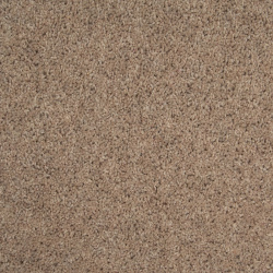 taupe_1494436121