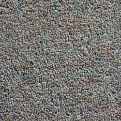 tweed_bute