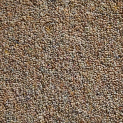 tweed_coll