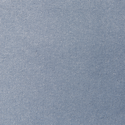 xcoastalmist