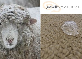 beauty of wool home floor site