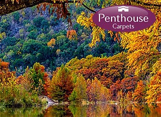 penthouse carpets from floor site2